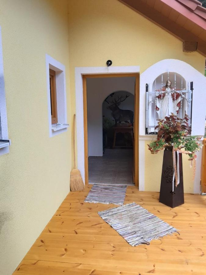 Ferienwohnung Anika Kleinlobming Bagian luar foto