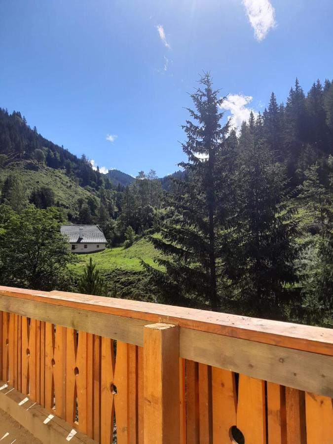 Ferienwohnung Anika Kleinlobming Bagian luar foto